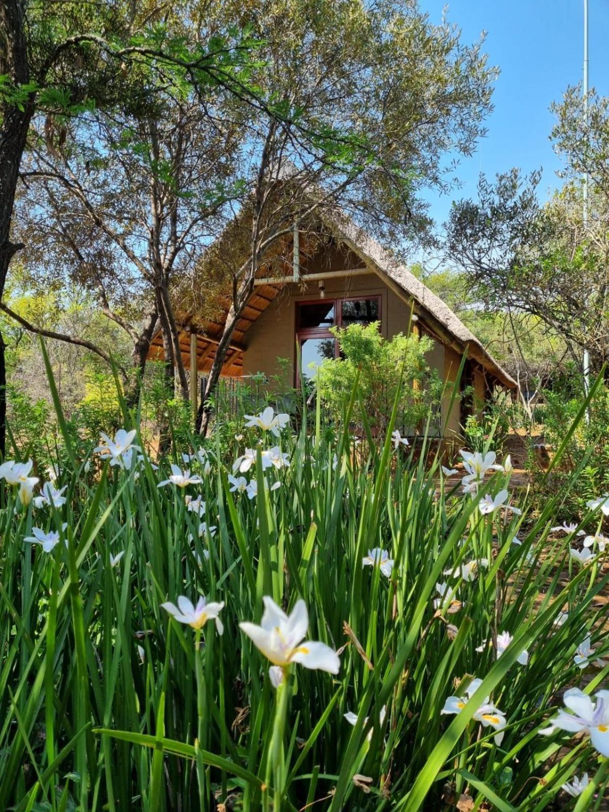Tidimalo Lodge Rustenburg Dış mekan fotoğraf